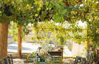 Tenuta degli Ulivi - Dimora Contadina - Foto 62