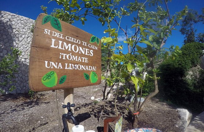 Excursão Xenses Explore a cidade mágica da Riviera Maya Playa del Carmen - Foto 7