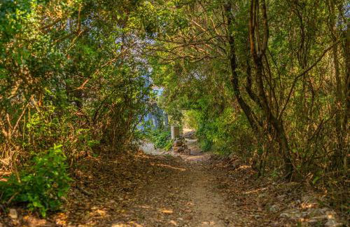 Villa Biankura - Foto 15