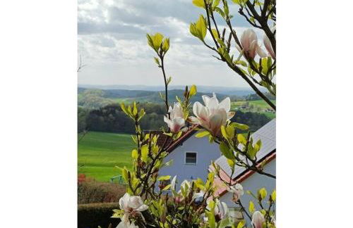 Unterm Stellberg Comfortable holiday residence - Photo 25