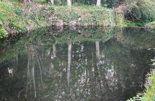 Moinho do Formigal - Foto 45