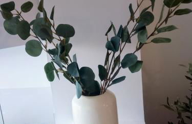 Le chemin de l'olivier - Foto 34