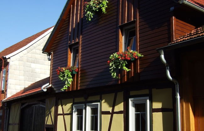 Hainich-Ferienhof - Foto 23