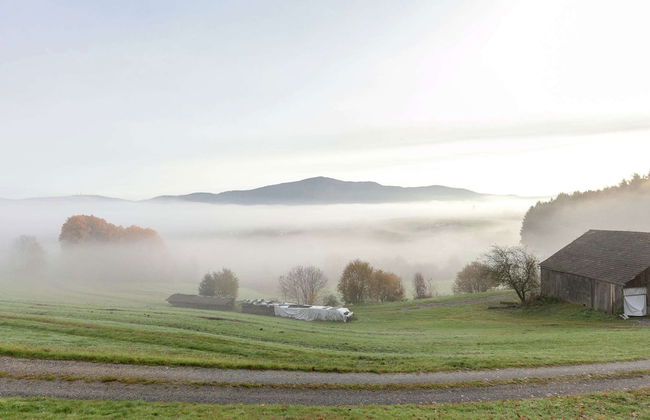 Family-friendly Tretting Home - Photo 23