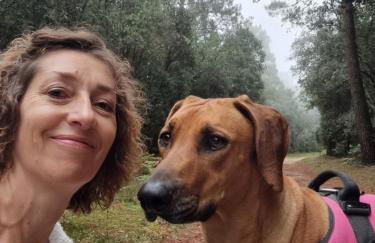 Aux couleurs de la terre d'oc - Foto 19