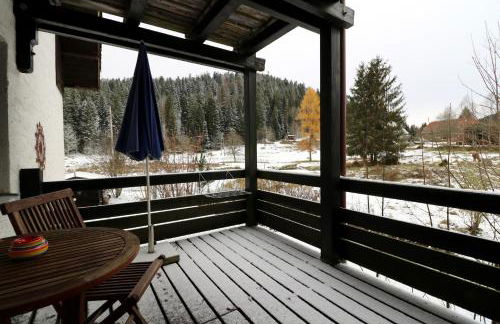 Gästehaus Seewald- Ferienwohnung 4 "Lärche", Schluchsee, Blasiwald - Foto 12