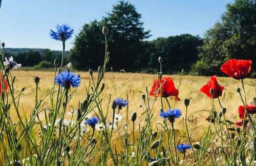 Uns Lütje Hus - a69869 - Foto 15