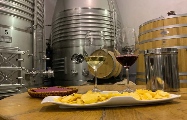 Bodegas Loli Casado Winery Tour - Foto 9