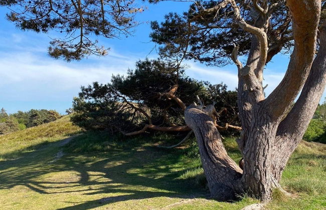 Luxury Villa With Pool - By Traum Ferienwohnungen - Foto 5