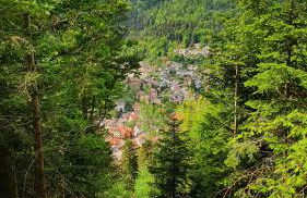 Ferienwohnung Sägemühle - Foto 29