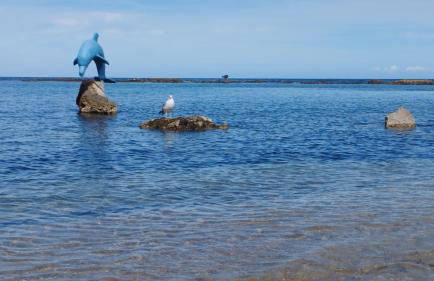 Appartamento Delfino Blu - Foto 15