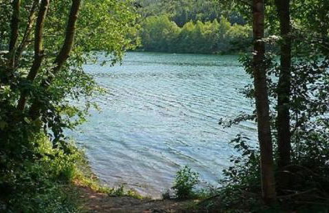 Ferienwohnungen Willrich - Ferienwohnung 1 - Foto 17