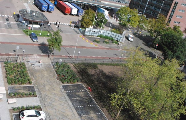 2L De Blend - Photo 43