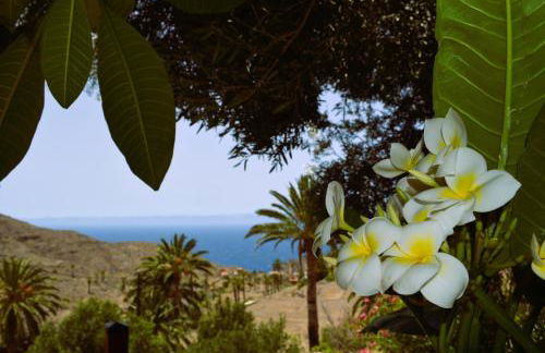 Cabaña Los Palmeros, vista al mar y la montaña - Photo 16