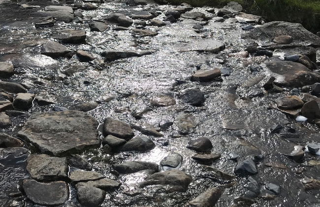 Carraigin Ban - Foto 29