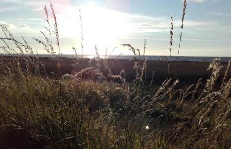 Chez Maria - Foto 41