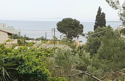 Asteria House - Foto 24