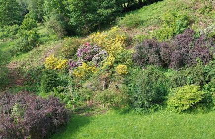 Apartament Międzygórski - Foto 35