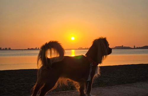 Apartament Bella Vista - Foto 51