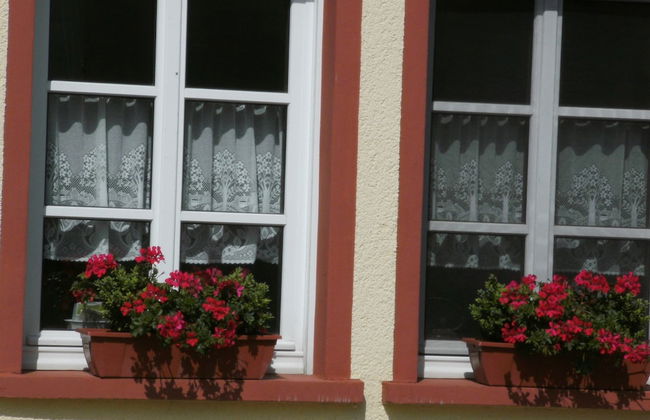 Apartment With Animal zoo and sun Terrace - Foto 24