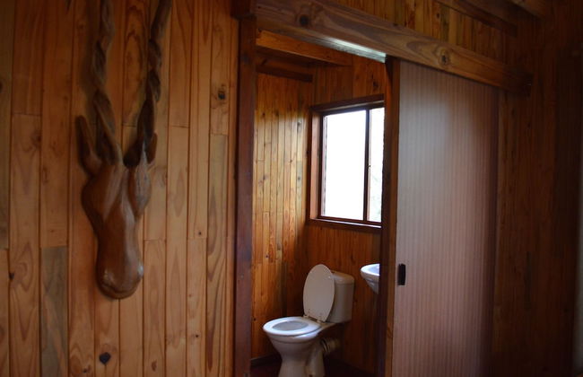 Lion Tree Bush Lodge - Foto 24