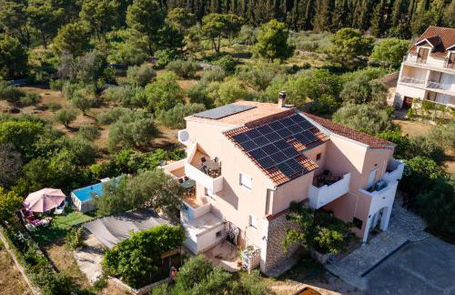 Dalmatian - Photo 43