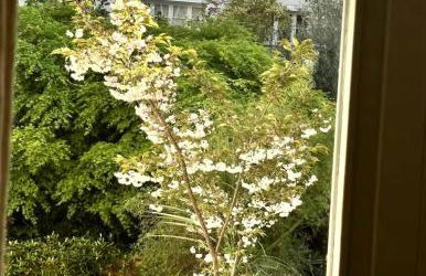 Architect Studio Moulin Rouge - Foto 7