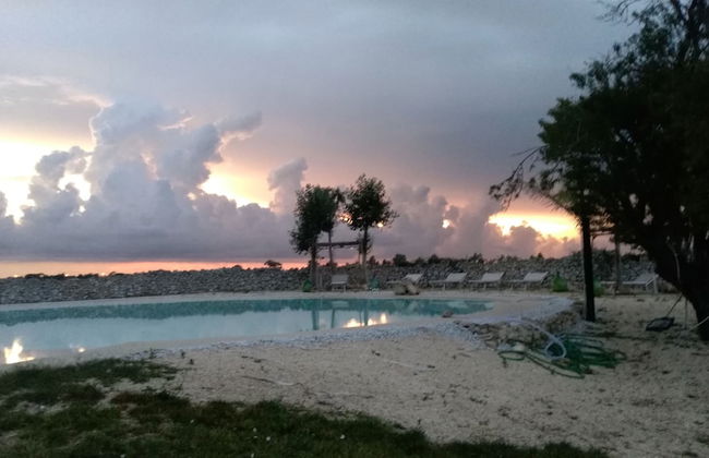 Falcon Home Resort - Photo 43