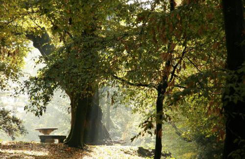 Agriturismo Villa Gropella - Foto 29