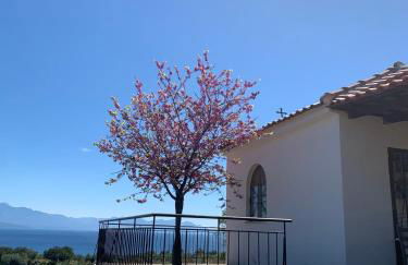 Villa Delfini - Foto 55