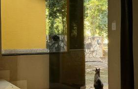 Rancho Fundo - Foto 11