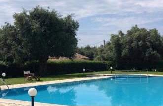 Simple Pleasure Verde Blu App - Foto 20