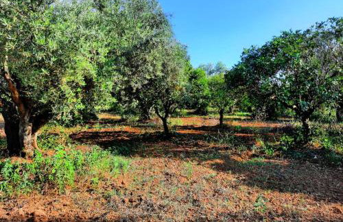 Agrilis Cottage near the beach - Foto 32