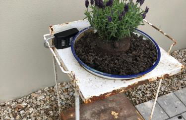 Ländliche Fewo Wildblume, 4 km zum Stausee - Foto 43