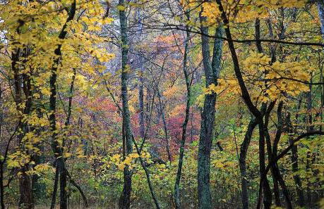 Luxury Mountain Cabin Rental on Rockfish Gap River near Charlottesville, Virginia - Foto 6