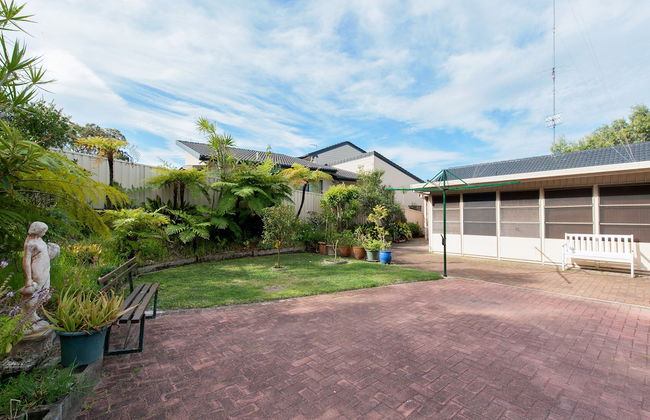Wildflowers at Fingal Bay - Photo 14