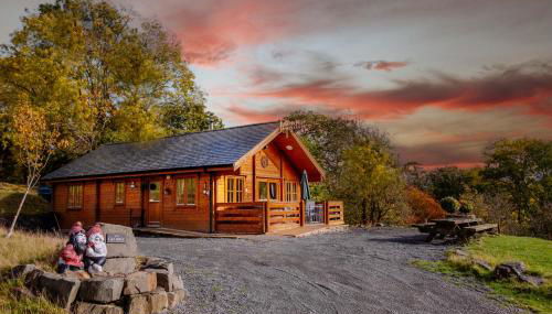 George Cabin - Log Cabin in Wales with Hot tub - Foto 1
