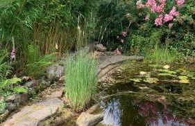 Strandlust Döbeln - Bungalow für eine gemütliche Auszeit zu jeder Jahreszeit - Foto 32