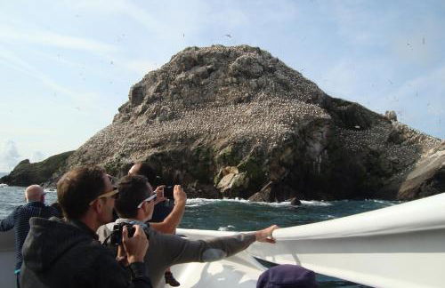 studio exposé plein sud vu sur le port de plaisance - Foto 34