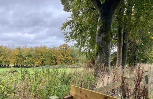 Pirnie Lodge Holiday Lets - Foto 50