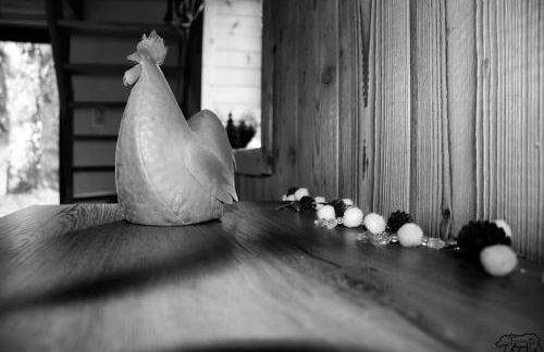 Gite de la Ravanne/Le petit nid - Foto 6