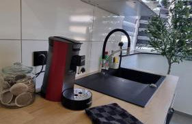 La perle du Lion - Foto 14