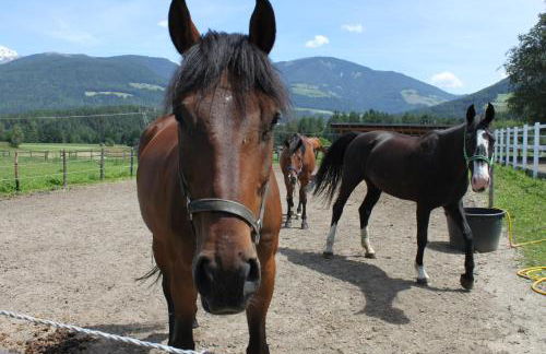 Appartementhaus Lechnerhof - Foto 17