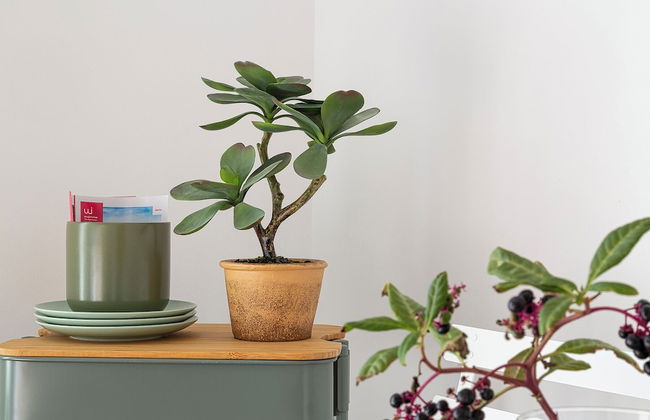 Deluxe Apartments by Wonderful Italy - Foto 49