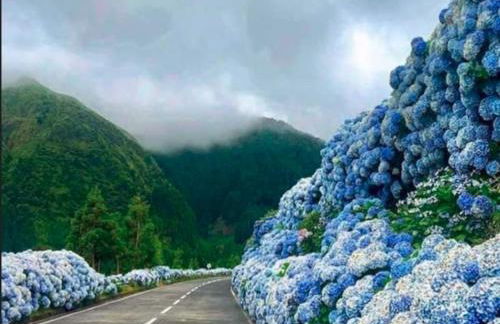 Saudades do Sol y Mar Apartment - Photo 51