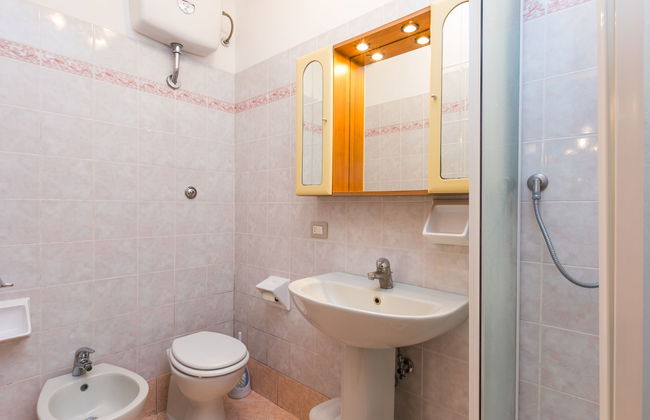 Rosa+Margherita+Lavanda+Ginestra+Gelsomi - Foto 20