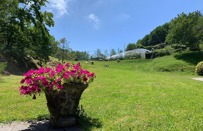 Agroturismo Urresti - Foto 40