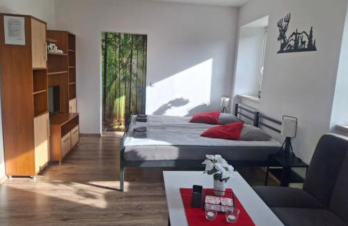 Agroturystyka pod niebieskim dachem - Foto 6