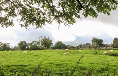 Manifold Cottage - Photo 17