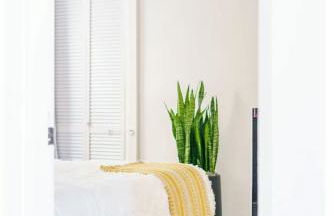 Jungle House Luxury Homes - Columbus Downtown Short North - Walk to Convention Center & Nationwide Arena - Sleeps up to 8 - Free Parking - Over 5,800 Five Stars - Foto 50